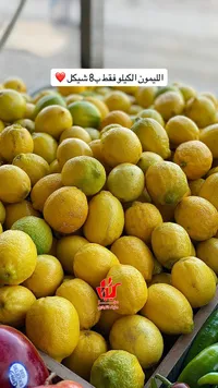 ليمون طازج