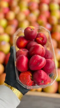 تفاح سنتروزا طازج