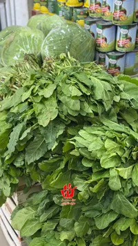 الملوخية الطازة