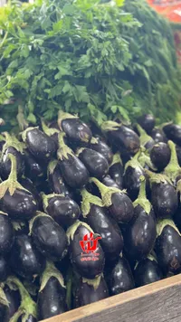 باذنجان أسود طازج