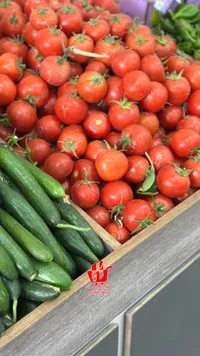 طماطم طازة - حصاد الخيار