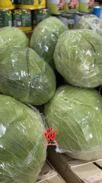 ملفوف أخضر طازج