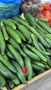 خيار طازج - سوق الخليج