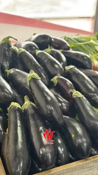 باذنجان طازج
