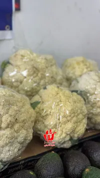 قرنبيط طازج