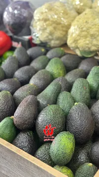 أفوكادو طازج - جودة عالية