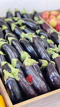 باذنجان طازج