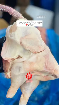 دجاج طازج - مركز حنيف التجاري