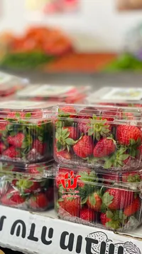 فراولة طازة - حافظ الشرقاوي