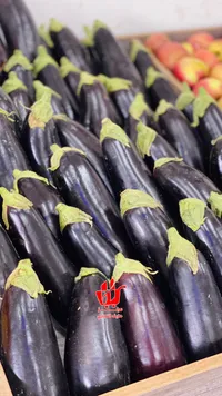 باذنجان طازج