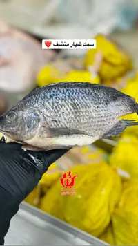 سمك شبار منخفض الملح