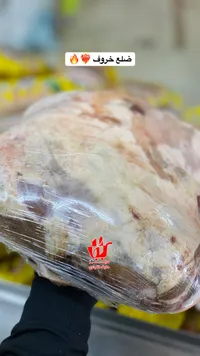 صدر دجاج طازج - حلال التقوى