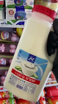 يوغورت سادة 4% دسم - مطبخ جت (Gad)