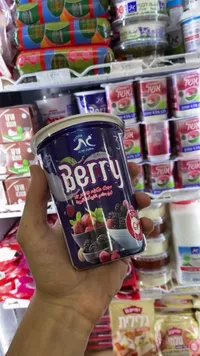 لبن ببطعم الفواكه البرية - جاد (Gad)