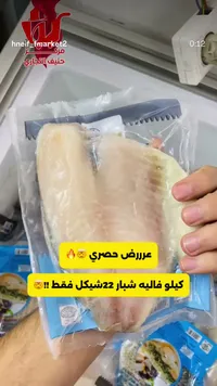 فيليه سمك الشبار - سوق غزة
