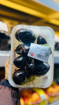 باذنجان بالفر