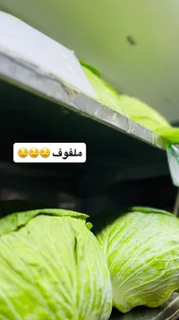 ملفوف أخضر طازج