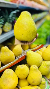 بوملي طازج