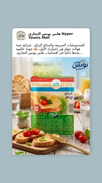 جبنة شرائح هولاند ستايل - جولد