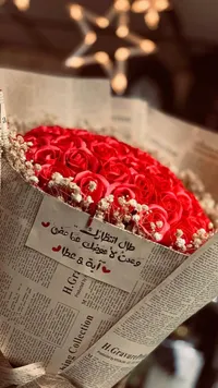 باقة ورود حمراء فاخرة مع baby's breath