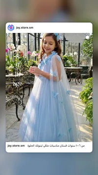 فستان مناسبات ملكي مزين بالفراشات - جوي ستور (Joy Store)