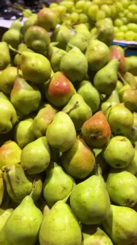 نجار طازج
