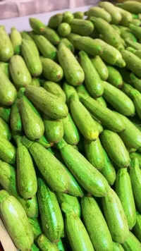كوسا طازة