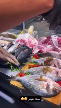 سمك دنيس طازج