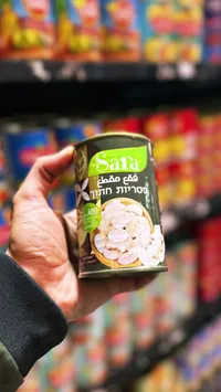 فطر مقطع - سفرا