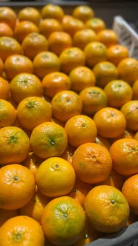 برتقال طازج