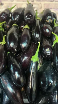باذنجان طازج