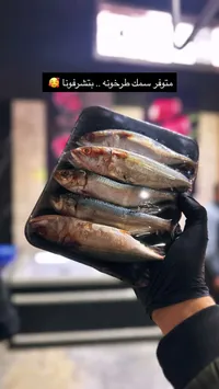 سمك طرخونة طازة