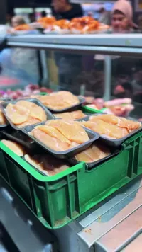 صدور دجاج طازة
