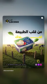 جبنة براميلي - المراعي