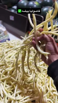 فاصوليا بيضاء طازجة