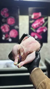 دجاج طازج كامل