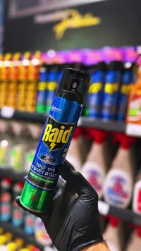 بخاخ قاتل للحشرات والبعوض - ريد (Raid)