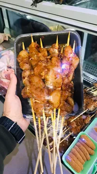 شيش طاووق دجاج مشوي
