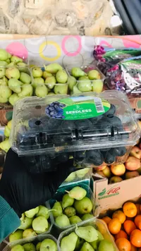 عنب أسود بدون بذور - سيدليس