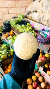 شمام طازج