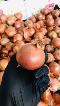 بصل أحمر طازج