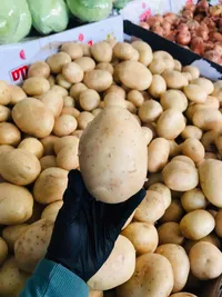 بطاطا طازجة