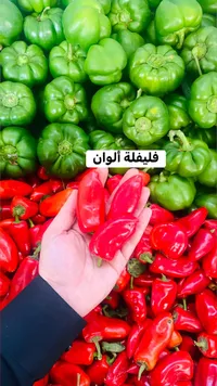 فليفلة ألوان طازجة