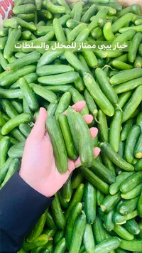 خيار بيبي طازج