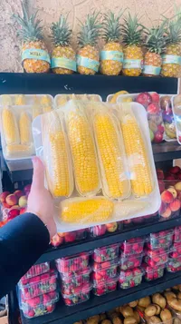 ذرة طازجة مغلفة