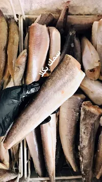 سمك بكلا مجمد