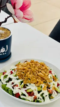 سلطة فتوش بالصوص الأبيض - لقمة (Luqma)