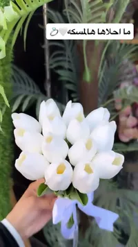 مسكة عروس بتصميم زهور التوليب البيضاء