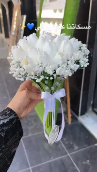 مسكة عروس بيضاء