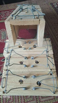 مصيدة فئران خشبية كلاسيكية